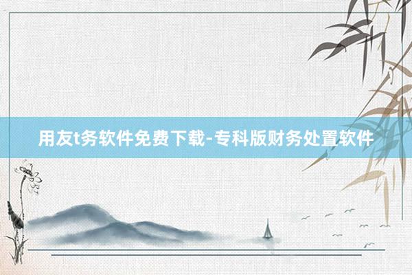 用友t务软件免费下载-专科版财务处置软件